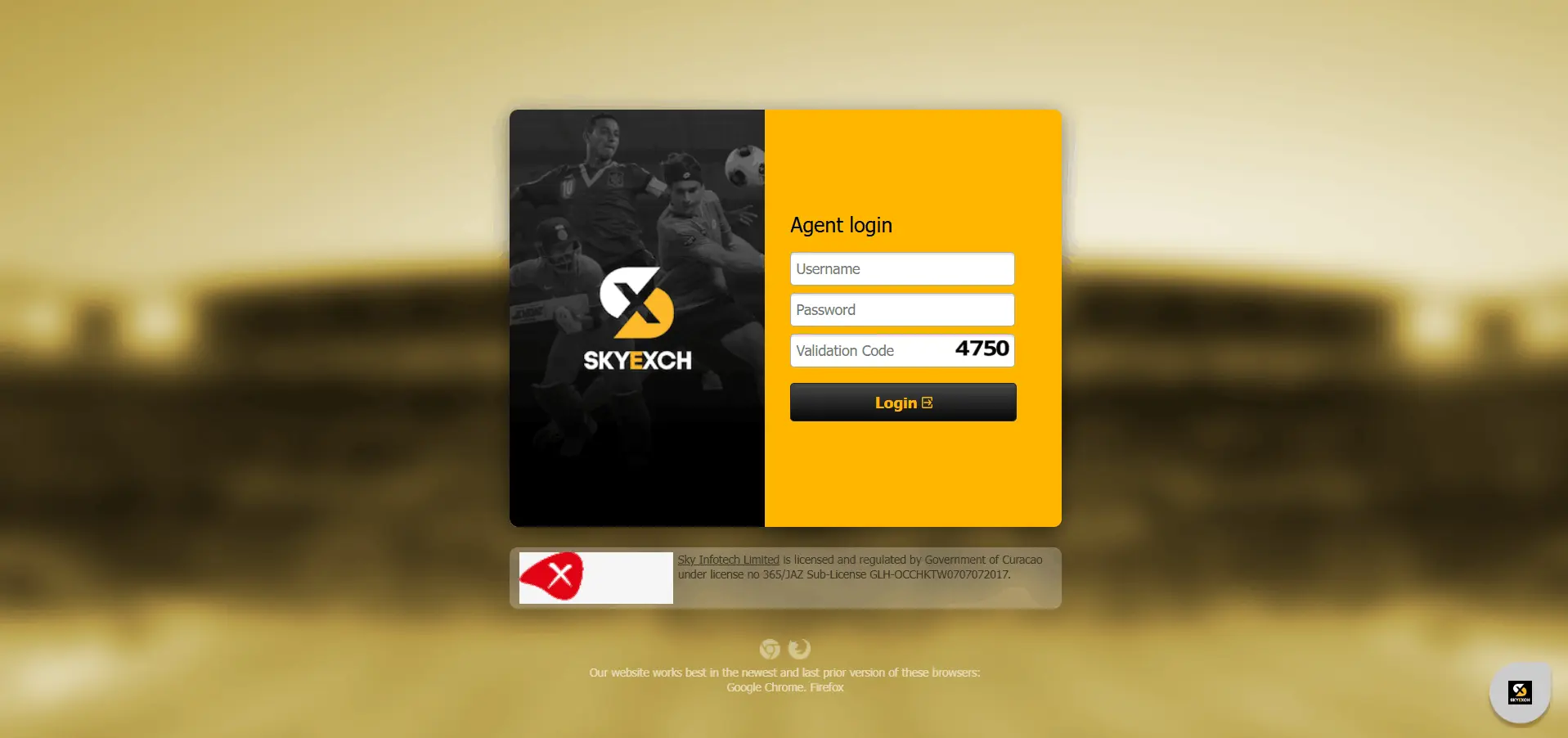 skyexch art